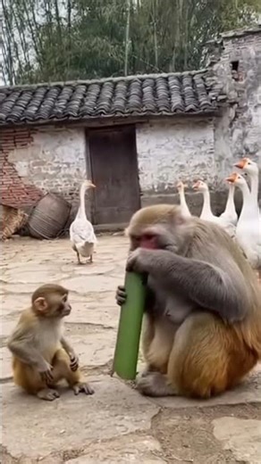 I Survived 24 Hours In The Most Haunted Place On Earth