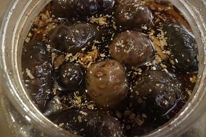 5 Tác Dụng Của Quả Nhàu Ngâm Rượu Trong Điều Trị Bệnh