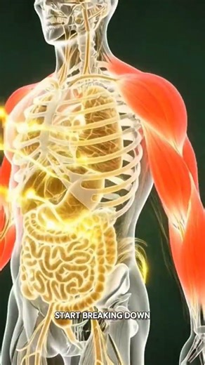 What Happens Inside Your Body When You Drink Milk | 3D Digestion Animation