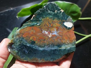 Raw Multicolor Moss Jasper Slab – Natural Stone, Photographed Wet – 85x104x12 Mm - Etsy
