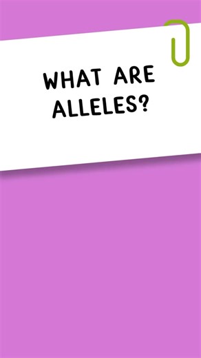 What are Alleles? #body #genes #dna #humanbody #medical #medicalcoding