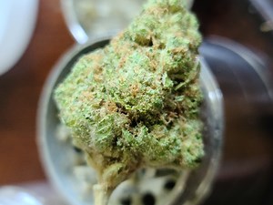5th Element | Marijuana Strain Reviews