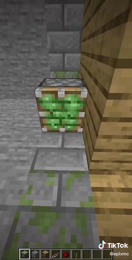 How to Build a 2x2 Piston Door in Minecraft