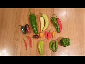 Pick A Pepper A Survey of Pepper Varieties