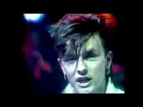 Ricky Gervais was the singer in an 80's band