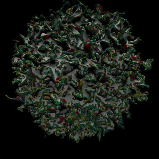 houdini tutorials: surfaces.
