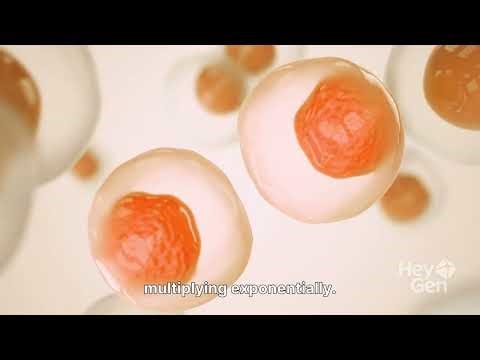 Acute Appendicitis Like You’ve Never Seen: Inside the Human Body in HD