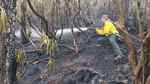 Disaster recovery bill heads to McCrory