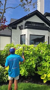 Best Pressure Washing