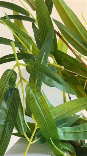 69K views · 282 reactions | Slow days, messy fur, sleepy eyes.  SKULLPANDA transforms into a lazy panda—slowing the world down and bringing you chill vibes. ✨ ”SKULLPANDA Lazy Panda Plush Doll Pendant “will be available at POP MART online stores on Aug 22 at 10 a.m. GMT+8 (convert to your local time)  #popmart #skullpanda #plush #vinyltoys #bear #arttoys #warmth #doll | POP MART Online Stores | Facebook