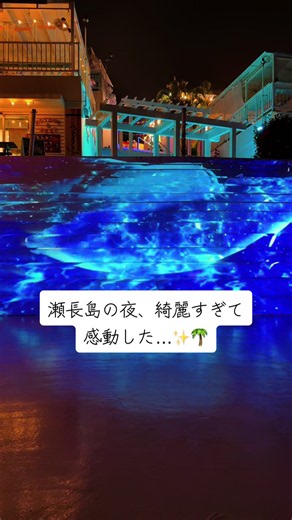 瀬長島の夜、綺麗すぎて感動した…✨🌴 沖縄・瀬長島ウミカジテラス🌺✨ 夜に始まった プロジェクションマッピングが本当に素敵でした。 光と音の雰囲気がすごく綺麗で、 思わず見入ってしまう時間☺️ 沖縄の夜って こんなに特別なんですね🌙✨ #沖縄 #瀬長島 #ウミカジテラス #プロジェクションマッピング #沖縄旅行