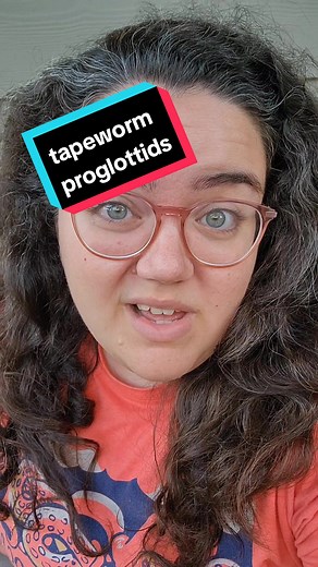 Understanding Flea Tapeworm Proglottids: A Closer Look at Parasites