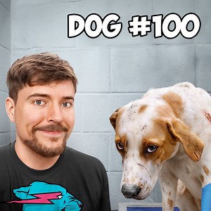 1.4M views · 40K reactions | No one wanted to adopt this dog  | MrBeast | Facebook