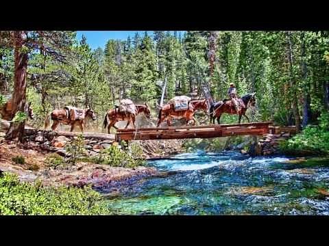 High Sierra Mule Packing Trips