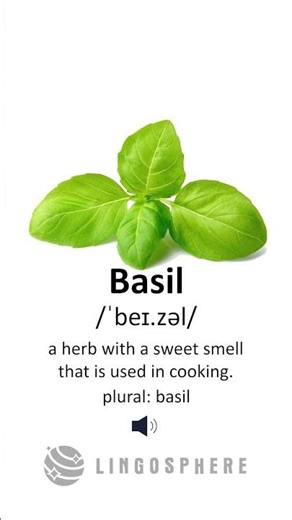 Learn the English word BASIL 🌿 — how to pronounce it and what it means!