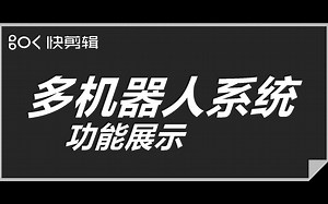 多机器人系统功能展示