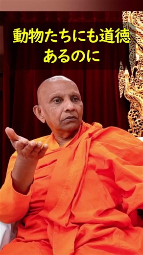 Realizing the Dignity of Life #VenerableSumanasara #EarlyBuddhism #Morality #War #jtba