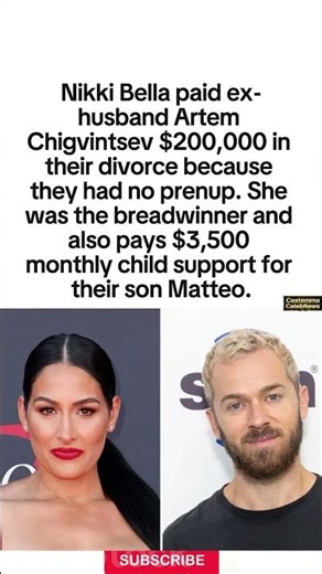 Nikki Bella's $200K Lesson #shorts #nikkibella #relationship #marriage #dating #couple