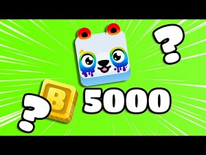 Trying to get a Rainbow Panda in Blooket!