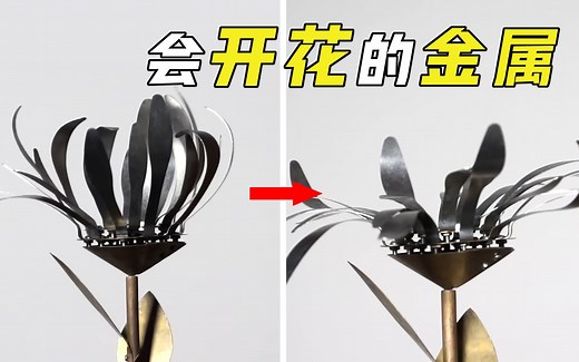 记忆金属是什么？加热后的铁片能自动“开花”，什么原理？