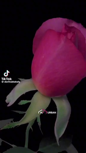 _.305imthebest (@_.305imthebest)’s videos with original sound - kerbinnn