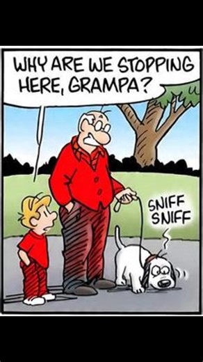 13K views · 205 reactions | Funny Comics | Comics World | Facebook