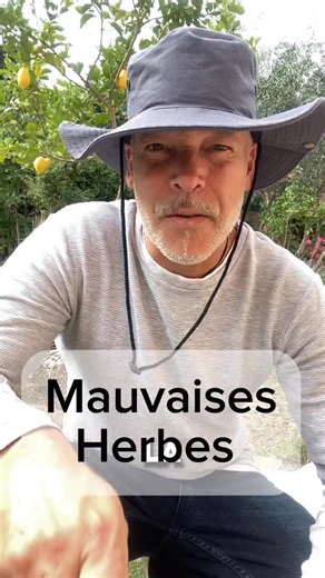 Laurent Caron on Instagram: "Les mauvaises herbes au jardin 🪴 Comment supprimer efficacement les herbes folles sur tes allées? La meilleure des solutions est manuelle 🤪 #jardin #astuce #désherbage #potager"