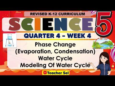Science 5 Quarter 4 Week 4 Revised K-12 Phase Change (Evaporation, Condensation)Water Cycle