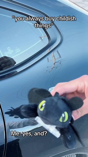 Toothless Dragon Car Accessories for Your Unique Ride
