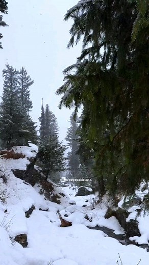 1K views · 113 reactions | Winter Wonderland Unforgettable Moments...