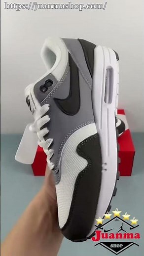 Air Max 1 Photon Dust Wolf Grey HM9936 001