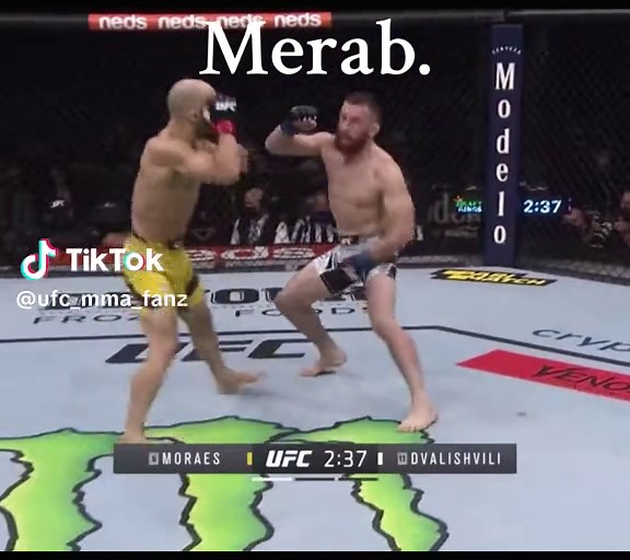 Merab Dvalishvili: Top Fights and Highlights