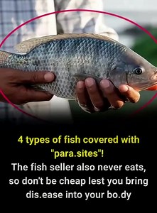 Everyone should pay attention and avoid these 4 types of fish 😲😲😲 | Break