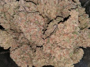 samoa | Marijuana Strain Reviews