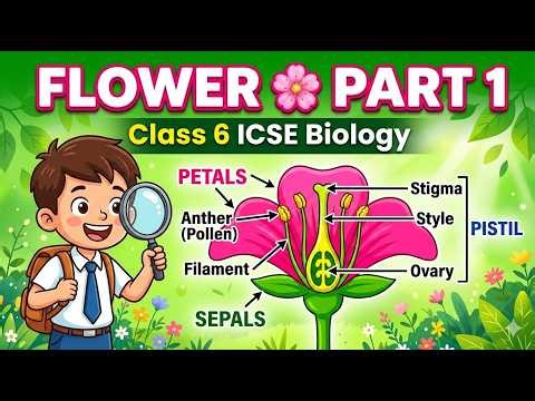 🌸 Flowers | Part 1 | Class 6 ICSE Biology
