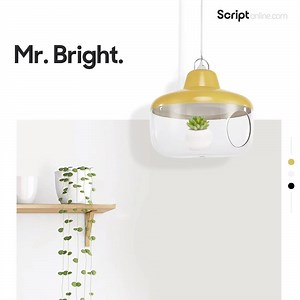 Brightness without the bulk. A vast pool of light without the glare. The Halo Pendant Lamp gets it right. Introduce a pop of personality to your space with its charm and colour. #ScriptYourSpace | Script Online