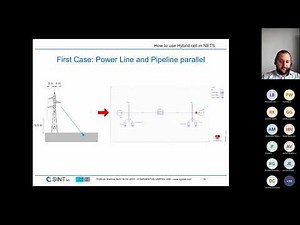 XGSLab Webinar April 2023 Hybrid cells in NETS