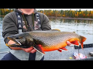 Fall Trout Fishing on Lake Superior