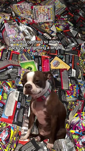 nothing but pain #caydenvortex #pokemoncollector #pokemon #pokemoncards