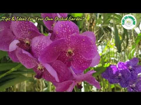 Tips & Ideas to Landscape an Orchid Garden | Gardening & Creative Build Ideas