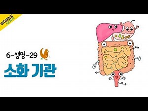 [초능력 비주얼씽킹 과학] 6-생명-29. 소화 기관