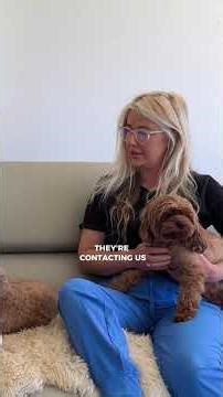 HUGE myth that Cavoodles are completely allergy-fre