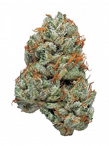 Platinum Bubba Strain - Hybrid Cannabis Review,