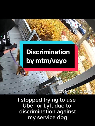 POV: My MTM/Veyo medical transport driver sees my service dog… and cancels my ride on the spot. 🐕‍🦺💔 #discrimination #ada #servicedog #ableism #disability