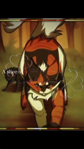 #Mapleshade edit :DDD | #catswarrior #warriorcats #edit #warriors #fypシ #fyp