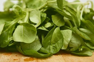Why are My Spinach Leaves Curling? 4 Primary Causes and Ultimate Solutions