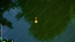 Float, fishing line in the lake surface. Fishing. Bright orange fishing float biting in dark pond. A bobber floats on the blue water making circles. Top view. Hobby and relaxation.