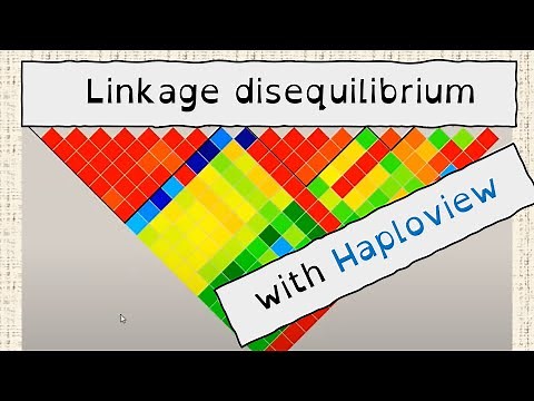 How to visualize Linkage disequilibrium (LD)? - A Haploview tutorial