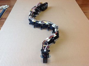 The Lake Erie Mamba is a 12-servo snake robot | Arduino Blog
