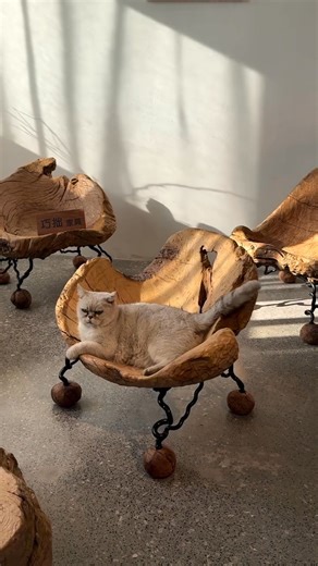 1.2K views | Smart Garden on Reels | Facebook